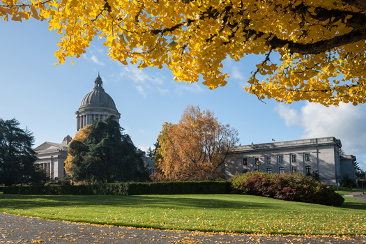 Olympia, Washington, USA - November 7, 2012: Capital dome and buildings under fall foliage in Olympia, Washington