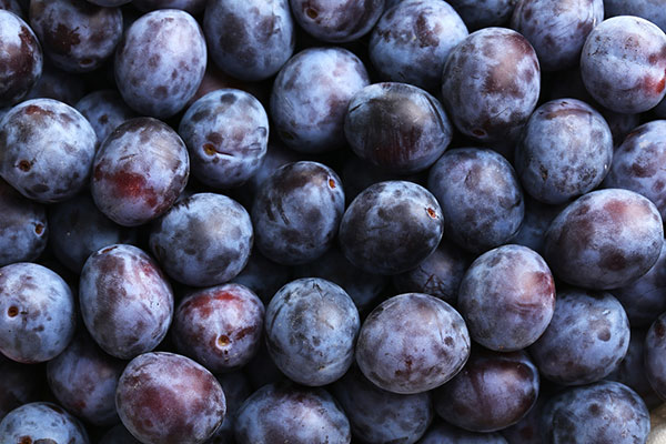 close up picture of plums