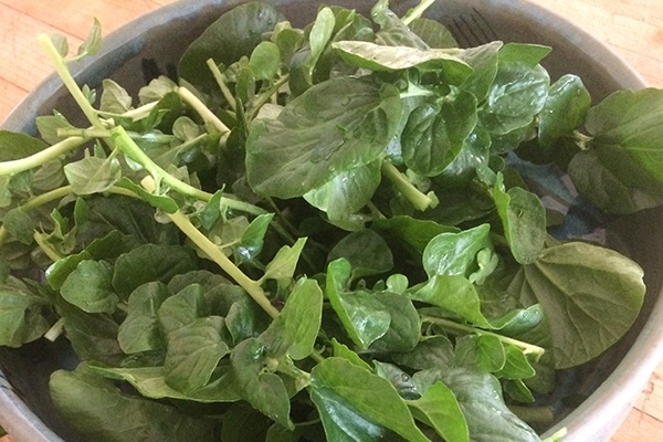 bowl full of greens