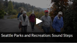 A screenshot of the sounds steps program features people walking outside.