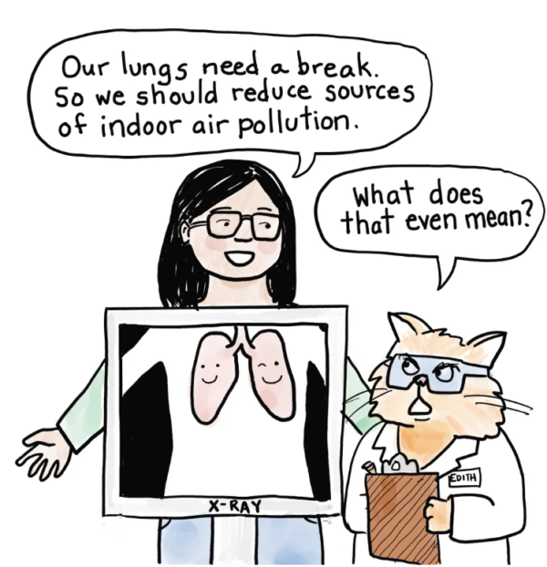 3. Person (standing in x-ray machine): Our lungs need a break. So we should reduce sources of indoor air pollution. Cat: What does that even mean?