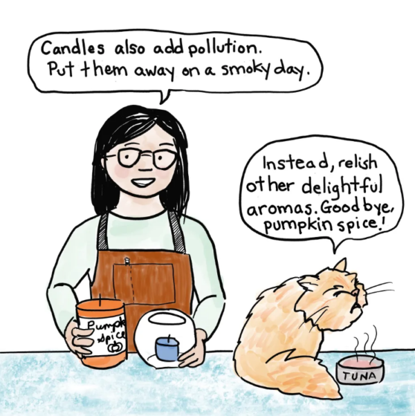 6. Person (holding a pumpkin spice candle and a votive holder): Candles also add pollution. Put them away on a smoky day. Cat (next to smelly can of tuna): Instead, relish other delightful aromas. Goodbye, pumpkin spice!