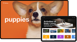 A screenshot of the Zinnia product featuring a corgi puppy in front of a plain orange background with white text reading "puppies."