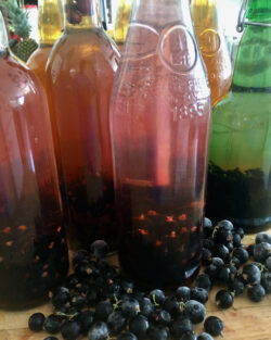 Vinegar with black currants