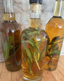 Homemade herb-infused vinegars